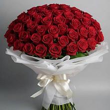Букет 101 Красная роза Блэк Мэджик в Актюбинском